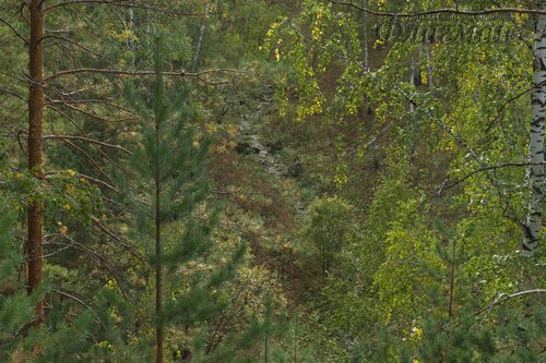 IMG_2737_r